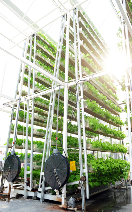 vertical-greenhouse.jpg